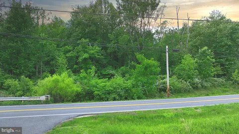 a view of a yard with plants
