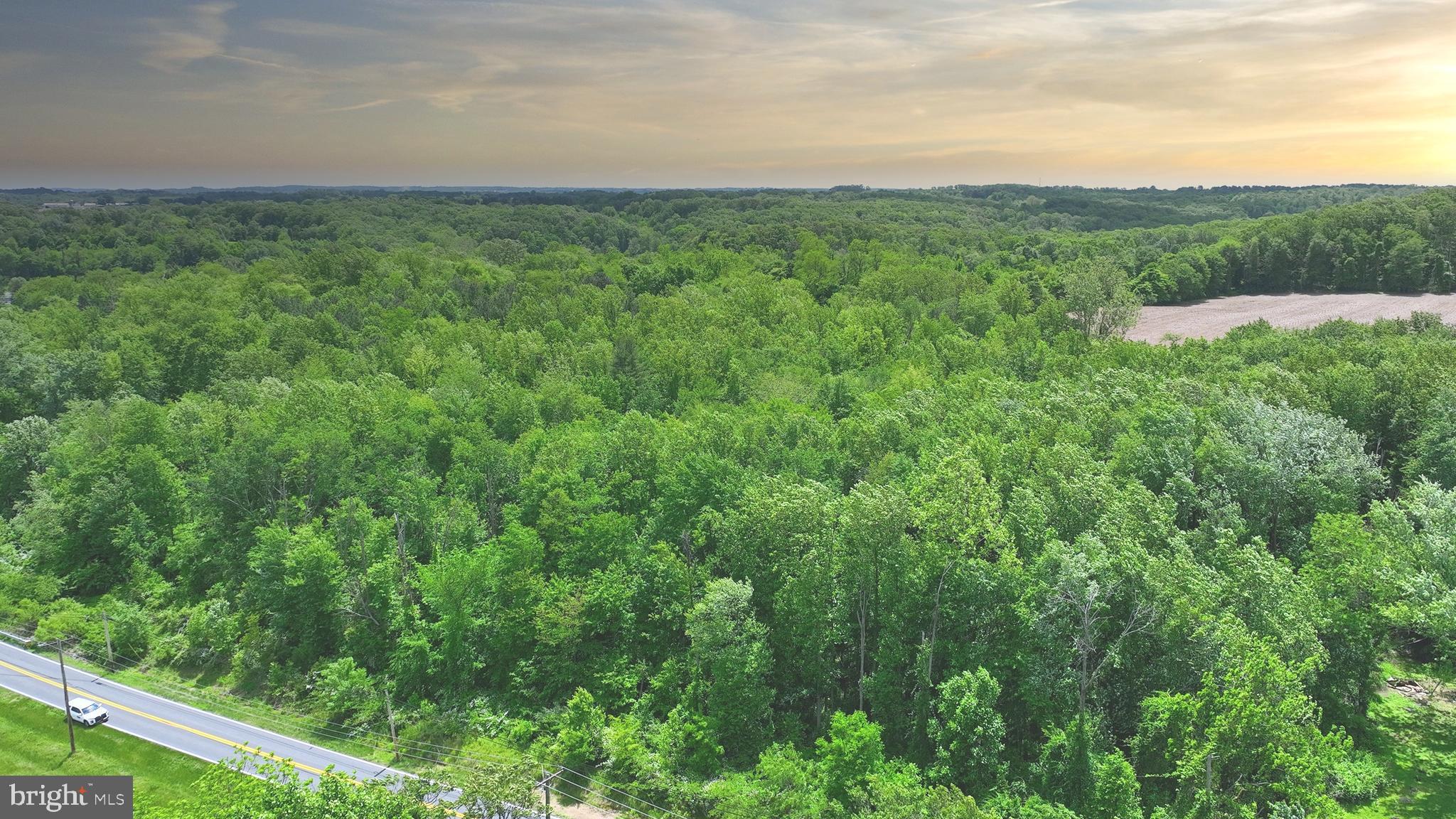 Castleton Road Darlington, MD 21034 - Photo 7 of 11 a view of a green field with lots of bushes