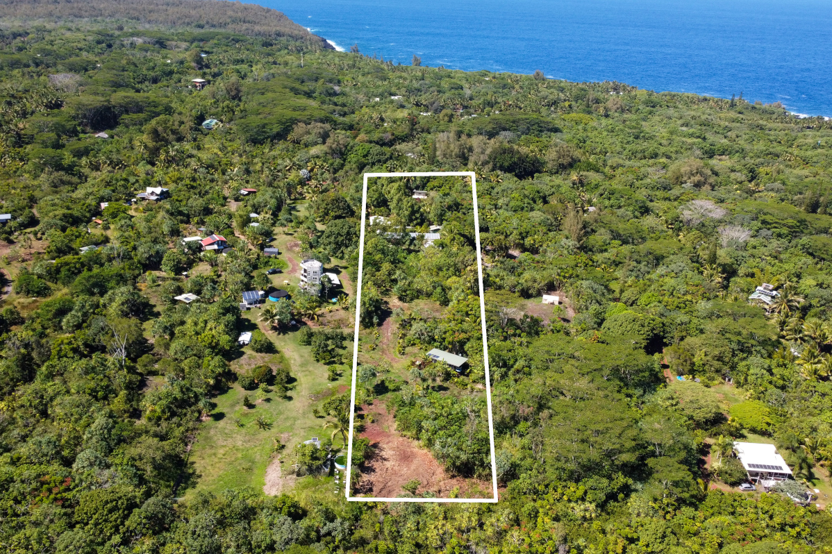 14-249 Pakaka Road Pahoa, HI 96778 - Photo 1 of 29 a view of a forest from a window
