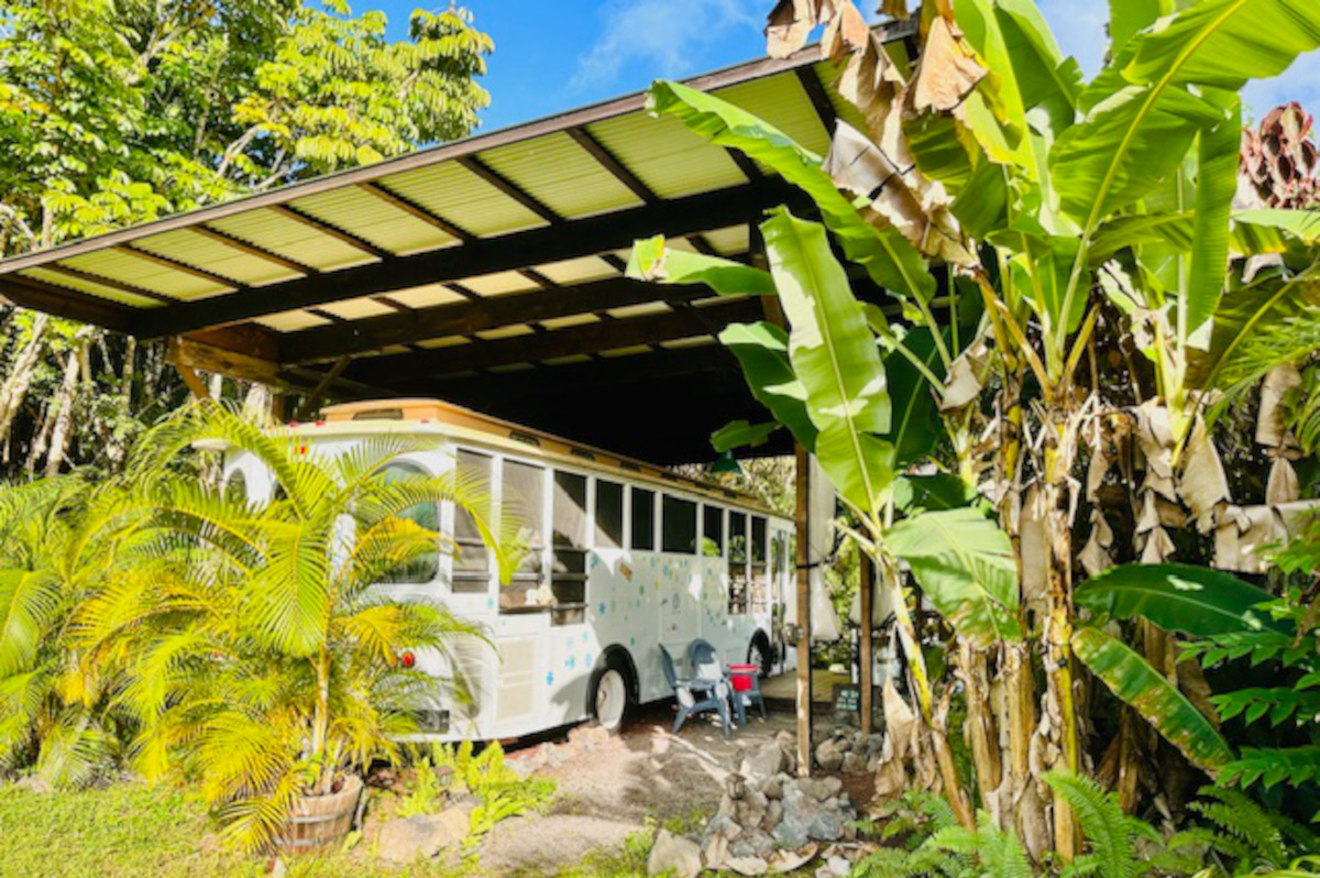 14-249 Pakaka Road Pahoa, HI 96778 - Photo 19 of 29 a view of an outdoor space