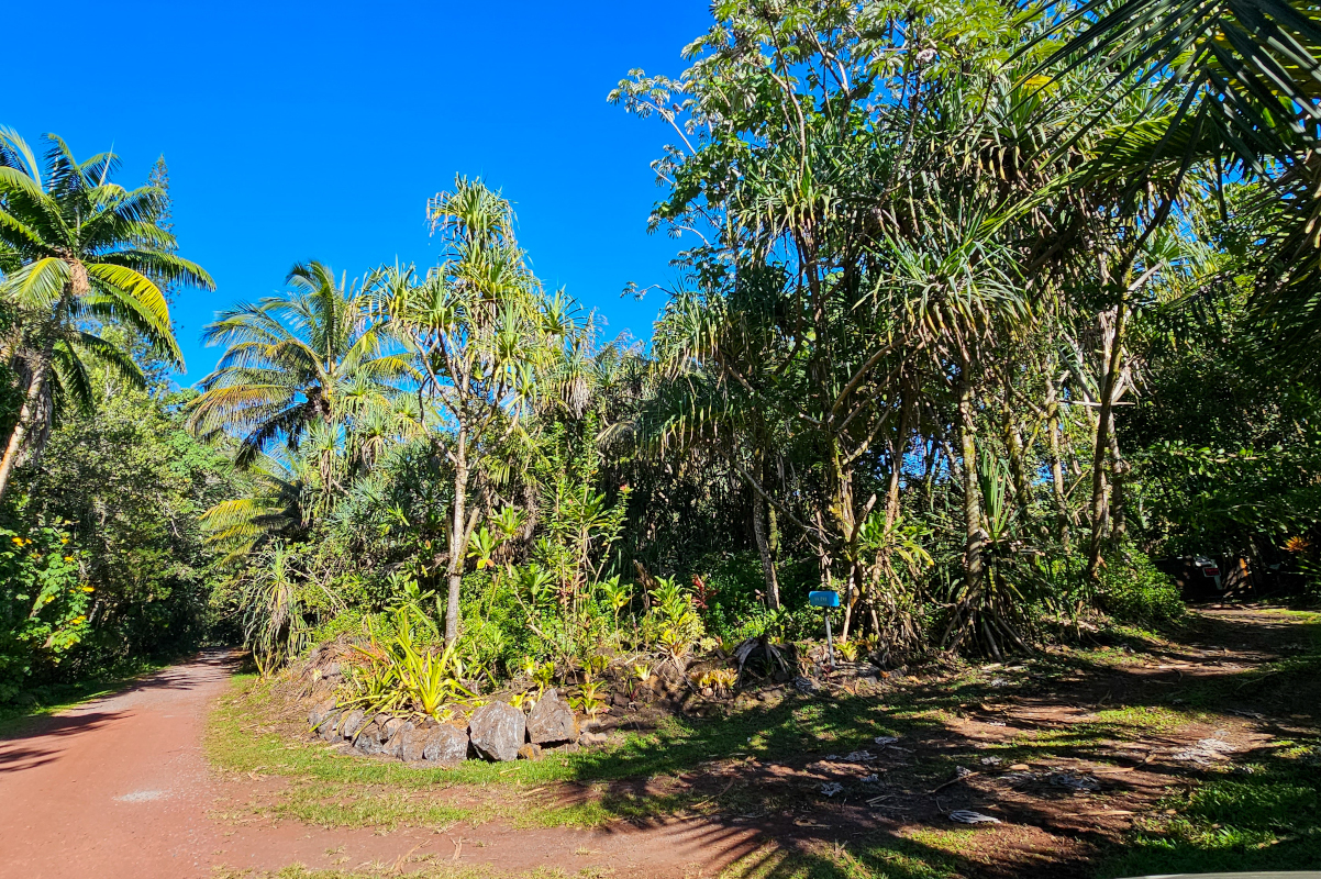 14-249 Pakaka Road Pahoa, HI 96778 - Photo 27 of 29 a view of a yard with plants