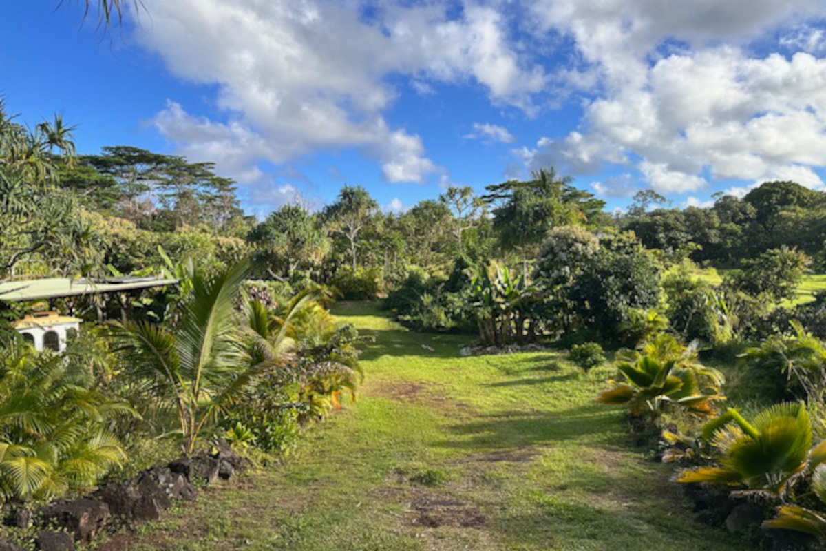 14-249 Pakaka Road Pahoa, HI 96778 - Photo 28 of 29