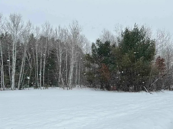 $39,900 | Lot 4 North Shore Drive, Iron River, WI 54847