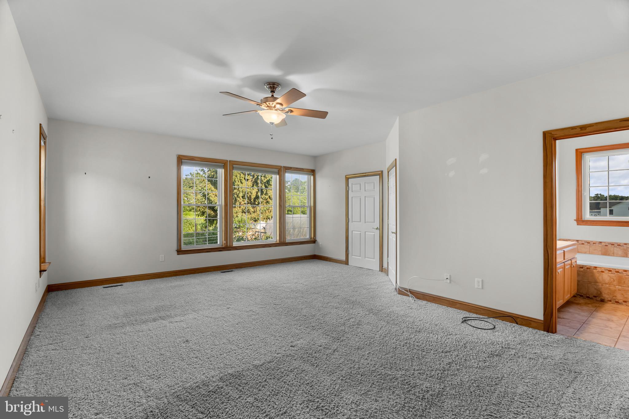 1211 Dexter Corner Road Townsend, DE 19734 - Photo 36 of 66 an empty room with windows and ceiling fan