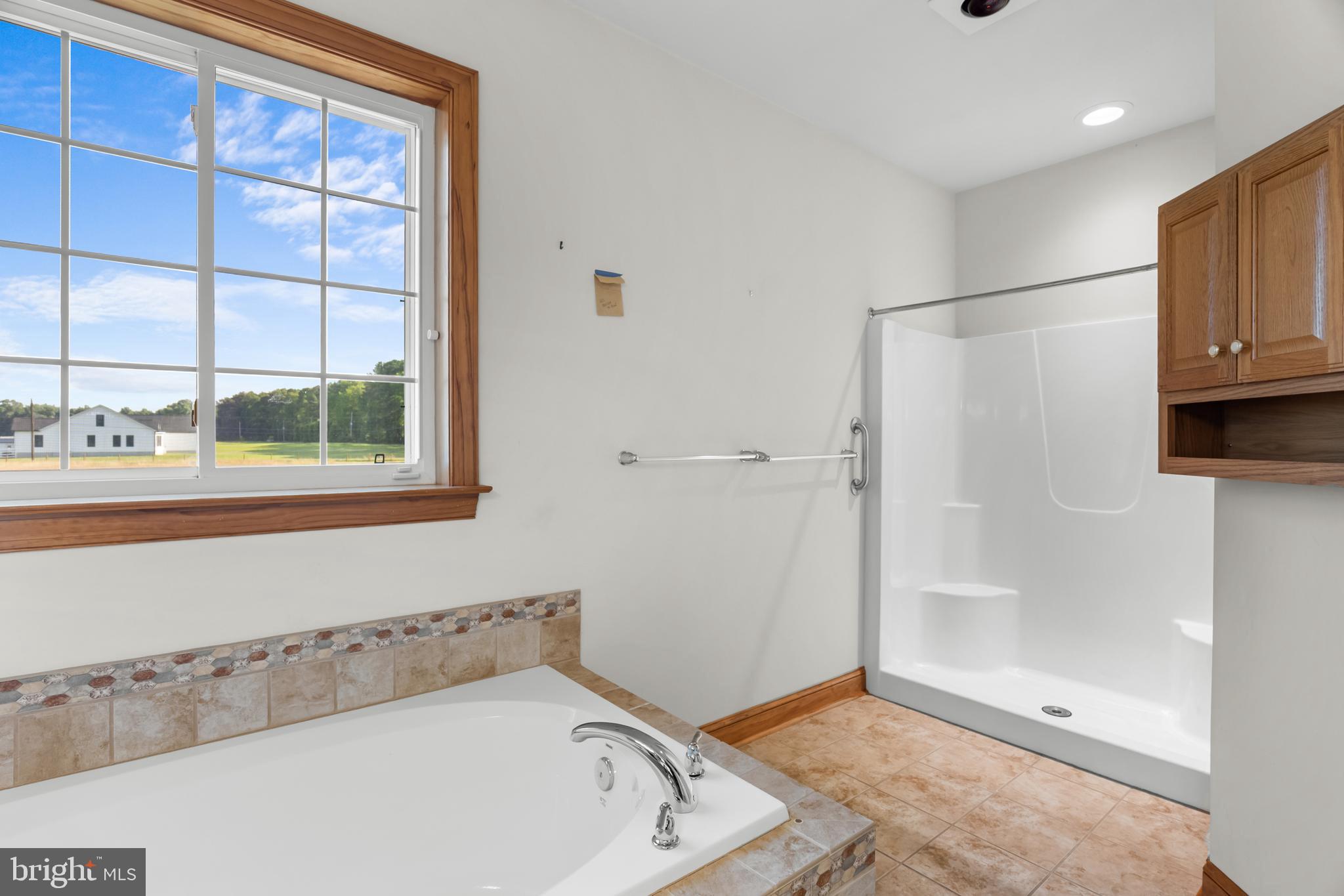1211 Dexter Corner Road Townsend, DE 19734 - Photo 40 of 66 a bathroom with a bathtub and a shower