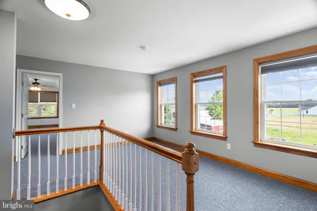 a view of a swimming pool and trees in the background