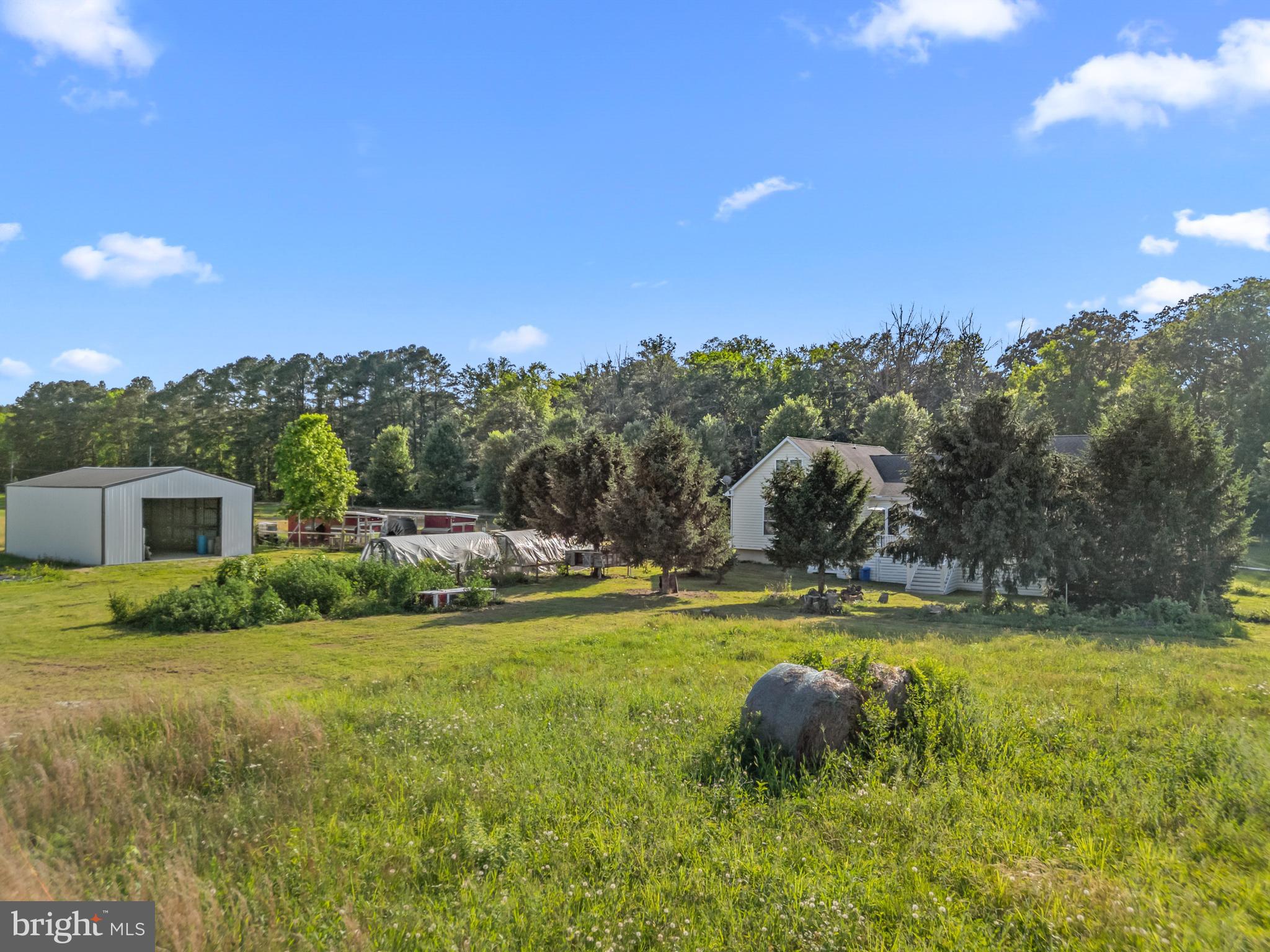 1211 Dexter Corner Road Townsend, DE 19734 - Photo 63 of 66 a view of a swimming pool and trees in the background