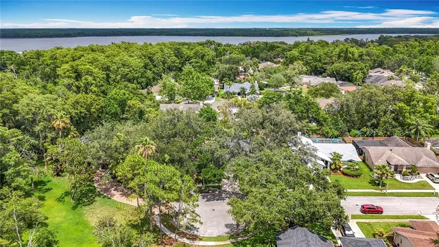 $3,600 | 2973 Spring Oak Court, Palm Harbor, FL 34684