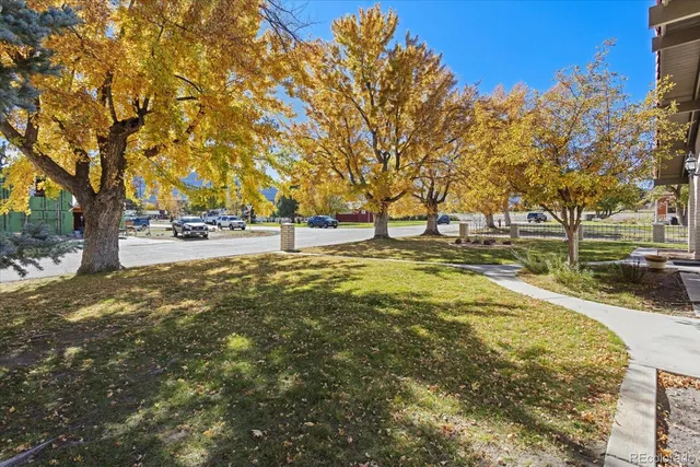 a swimming pool with trees in the background