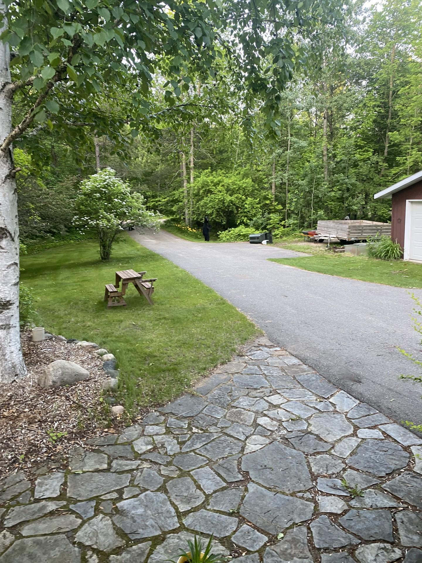 17136 Hidden Lake Road Fifty Lakes, MN 56448 - Photo 47 of 53