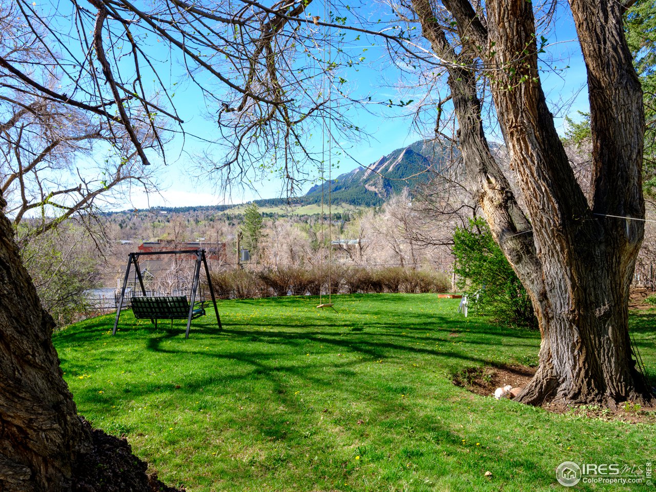 a view of a backyard with a tree