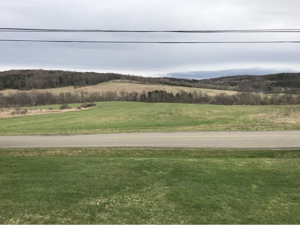 53 North Street Whitney Point, NY 13862 - Photo 31 of 36