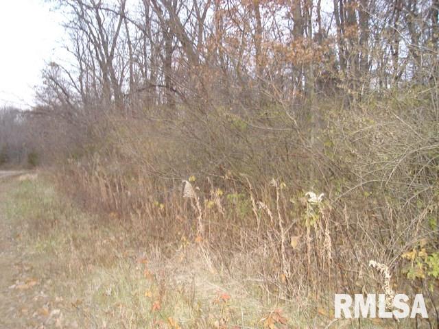 Dickison Cemetery Road Dunlap, IL 61525 - Photo 1 of 2 Gallery Image 1
