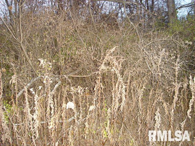 Dickison Cemetery Road Dunlap, IL 61525 - Photo 2 of 2 Gallery Image 2