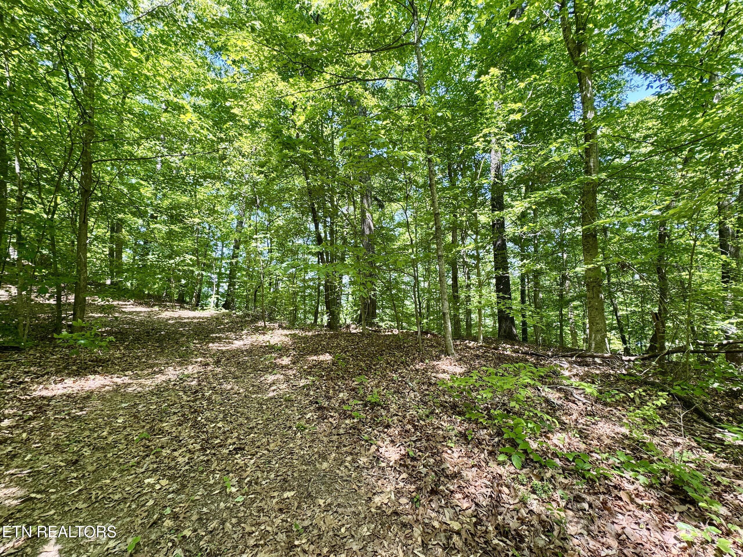Ridgeview Drive Clinton, TN 37716 - Photo 10 of 15 2-10