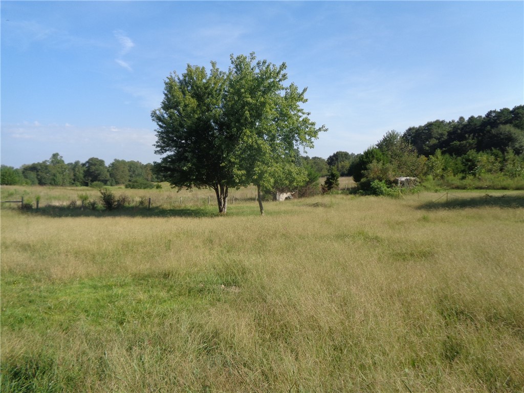 0 Levis Smith Road Pendleton, SC 29670 - Photo 3 of 3