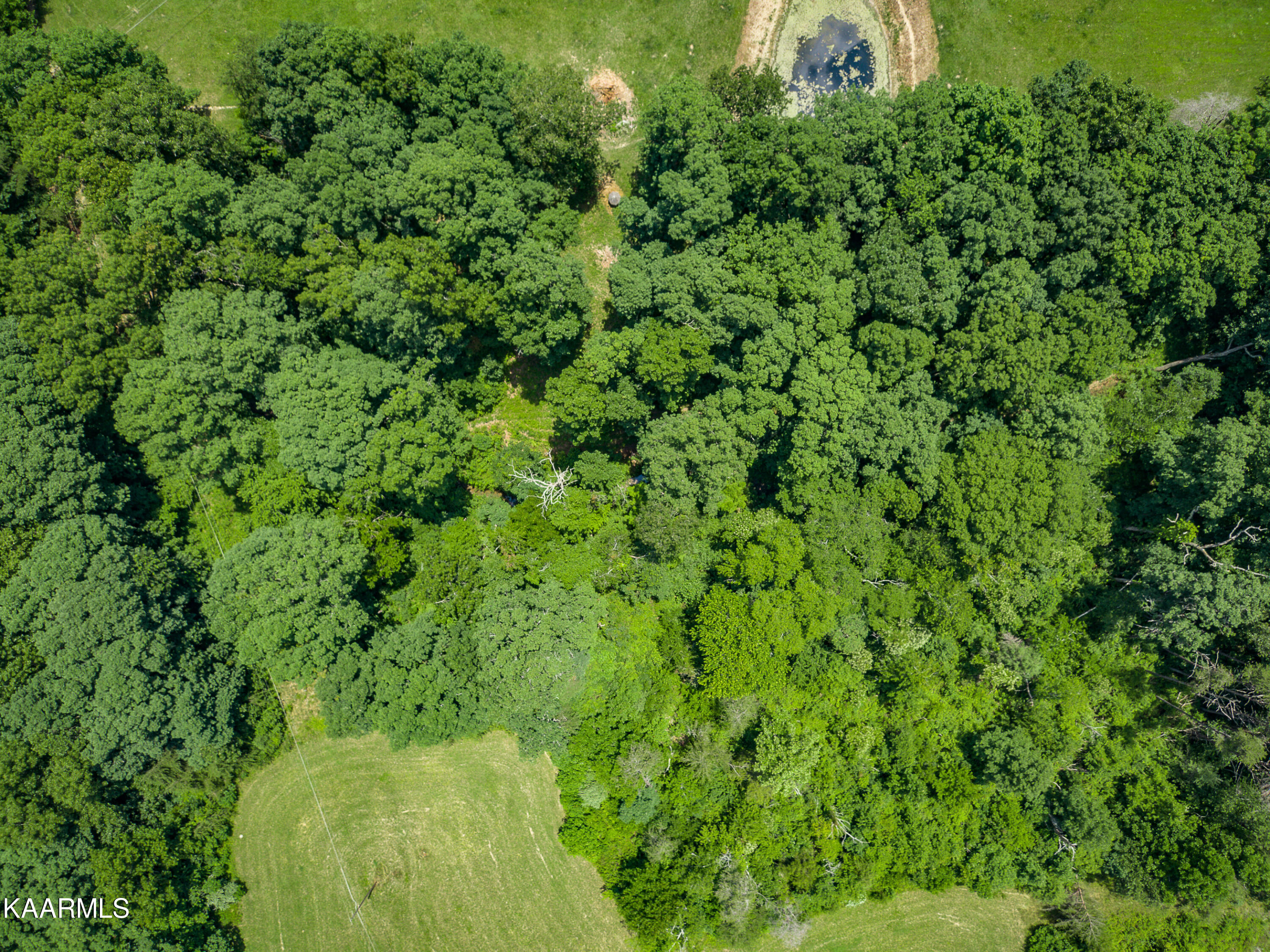 York Road Crossville, TN 38555 - Photo 9 of 17 mls-444 York Rd Crossville-010_TNPC