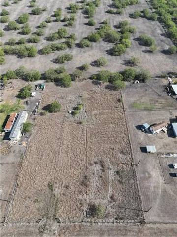 a view of a dry yard with trees