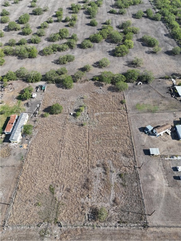 468 Jennifer Loop Orange Grove, TX 78372 - Photo 10 of 12 a view of a dry yard with trees