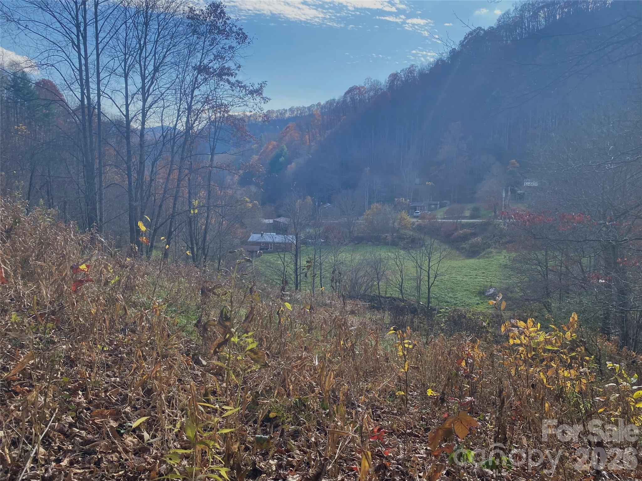 0 Foster Creek Road Marshall, NC 28753 - Photo 1 of 1