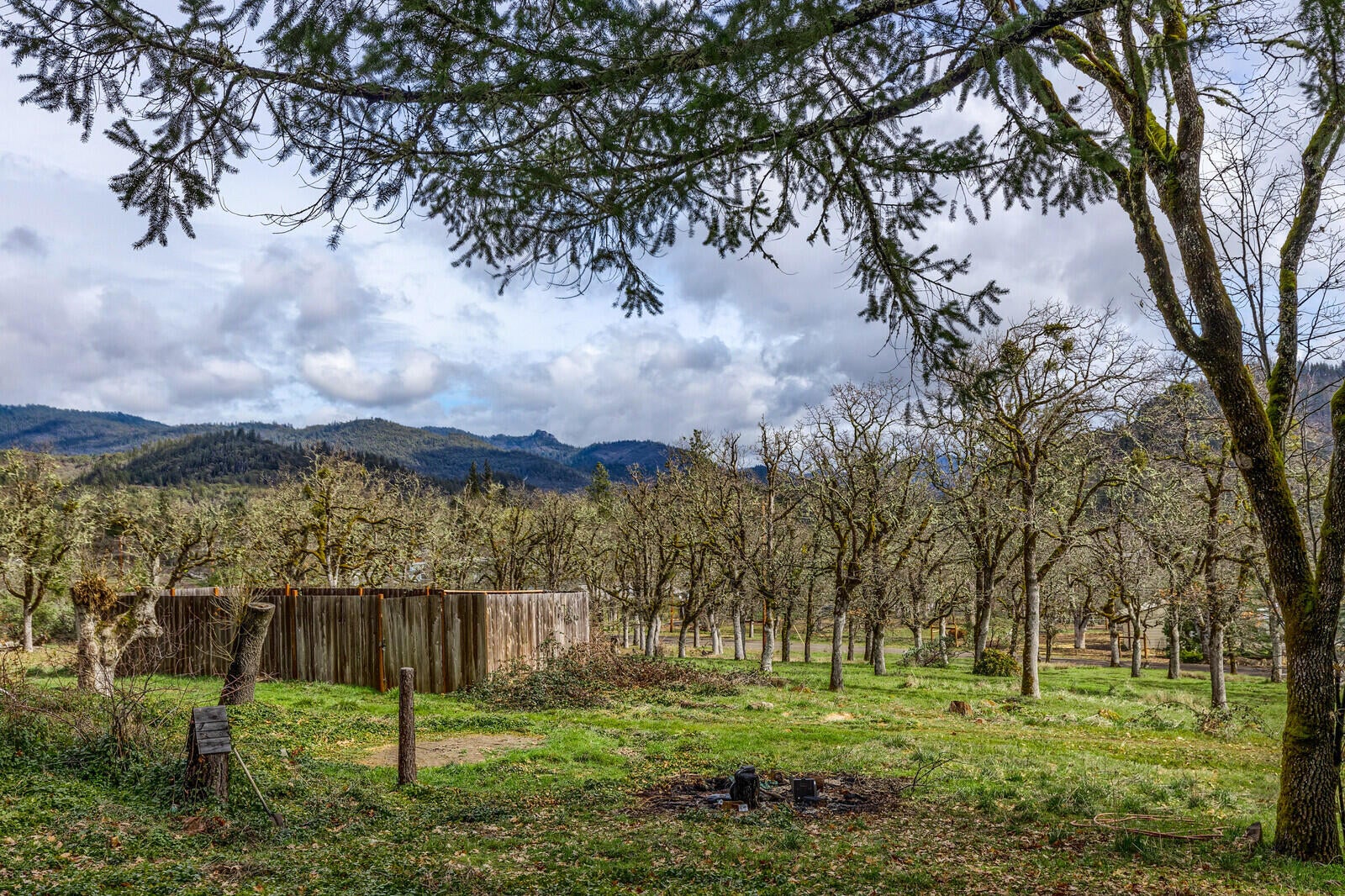 1134 Ragsdale Road Trail, OR 97541 - Photo 14 of 46 14_RR_14_mls