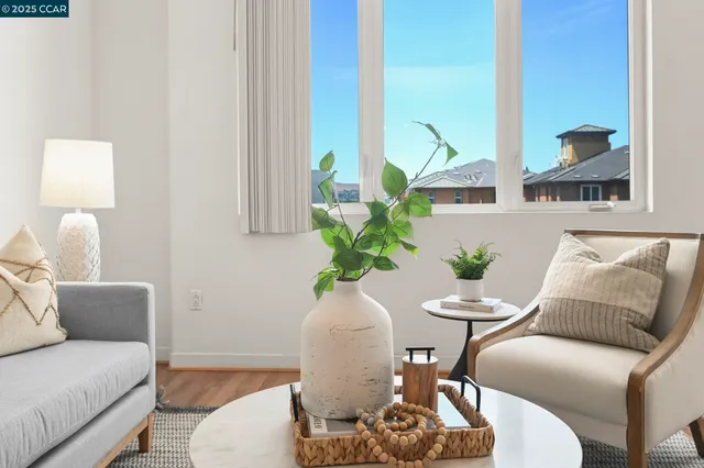 a living room with furniture flowerpot and a potted plant