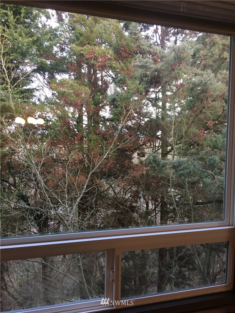 7573 Old Redmond Road, Unit 3 Redmond, WA 98052 - Photo 6 of 15 Gallery Image 6