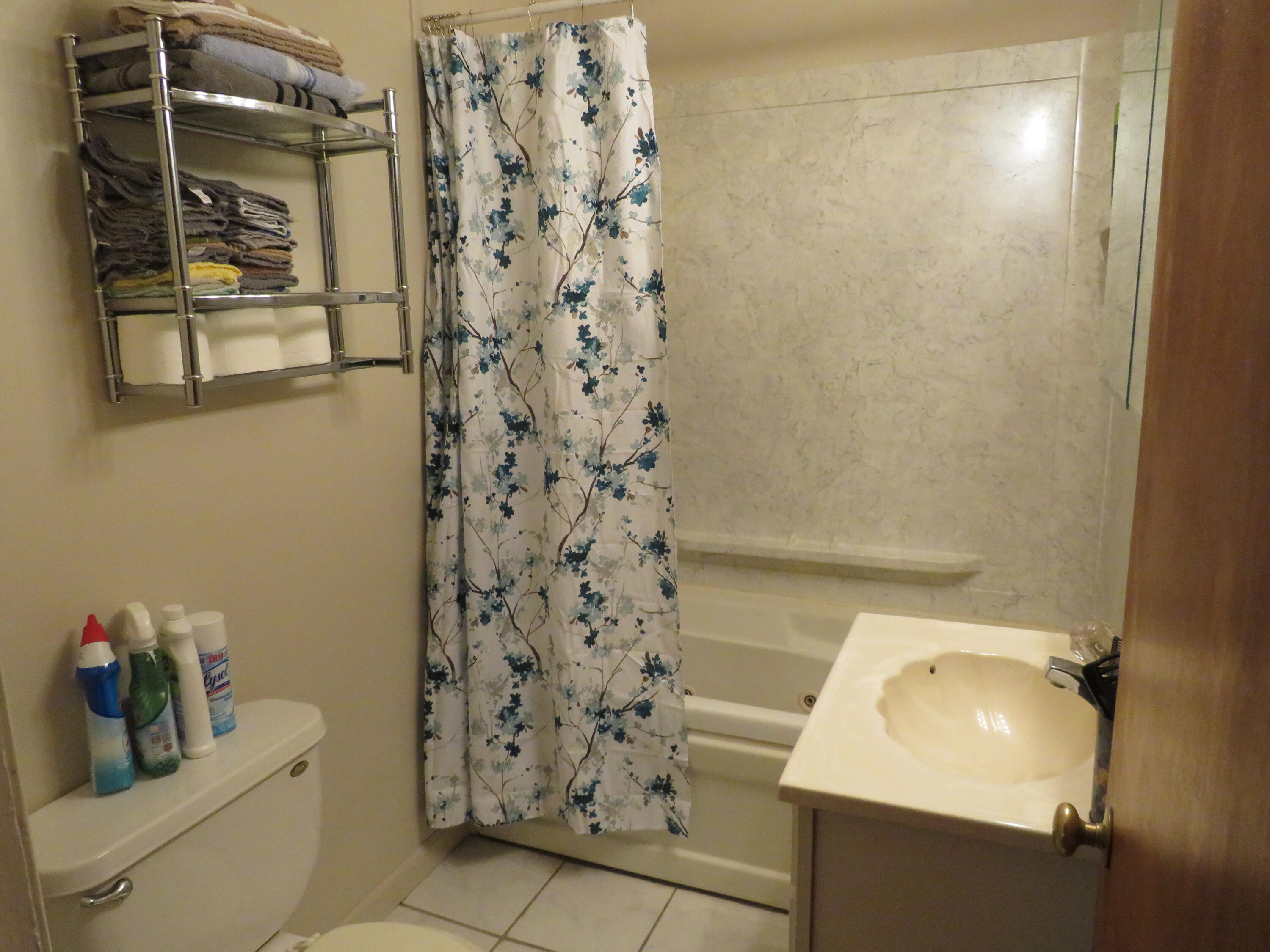 8111 Anderson Road Litchfield, MI 49252 - Photo 15 of 20 IMG_0111