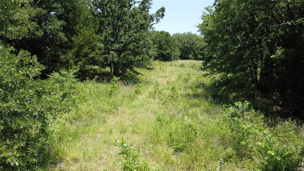 527 Copperas Road Sadler, TX 76264 - Photo 9 of 27