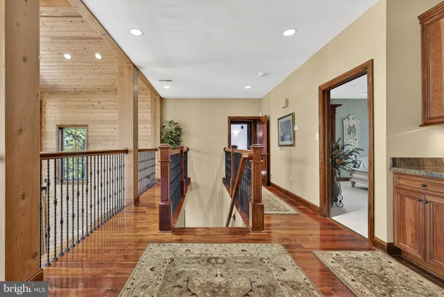 a view of a bunch of plants and trees