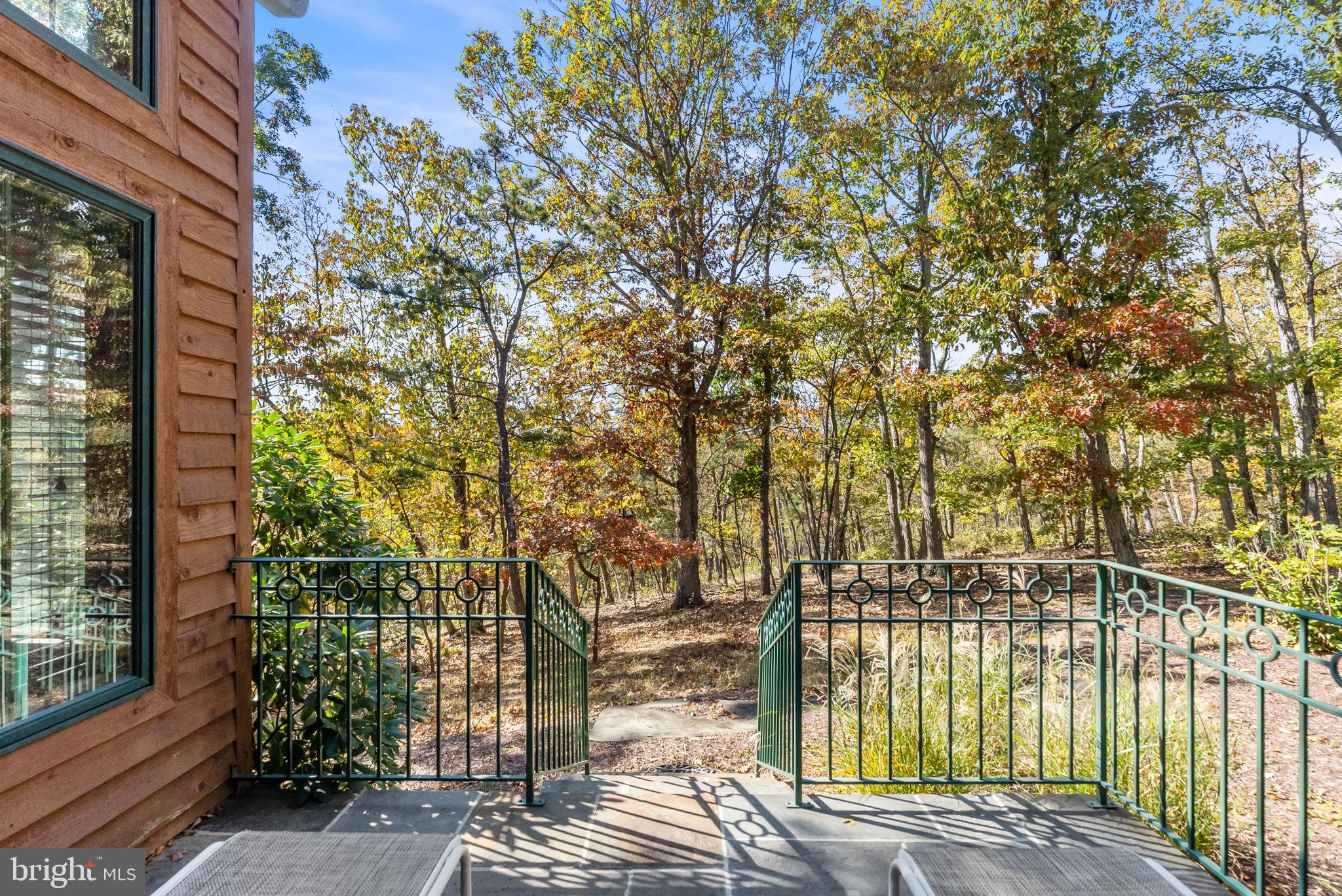 1631 Back Mountain Road Winchester, VA 22602 - Photo 66 of 86 Patio area to enjoy the peace & quiet