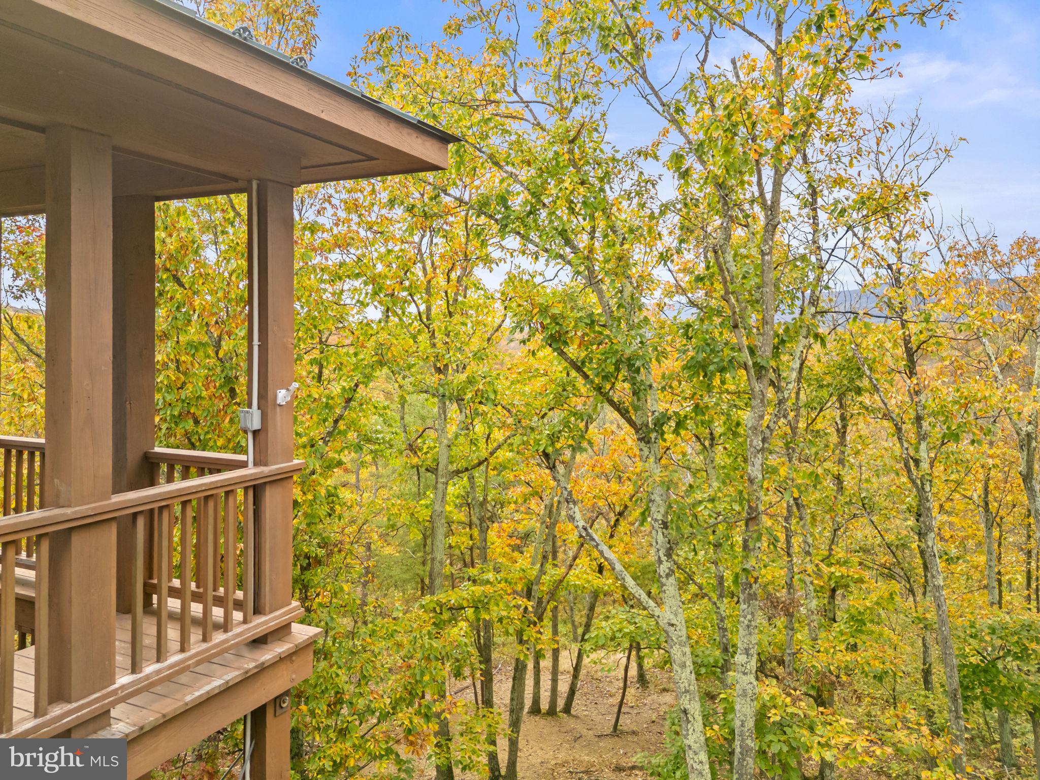1631 Back Mountain Road Winchester, VA 22602 - Photo 75 of 86 Lovely spot to watch the seasons change