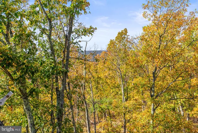 $2,125,000 | 1631 Back Mountain Road, Winchester, VA 22602