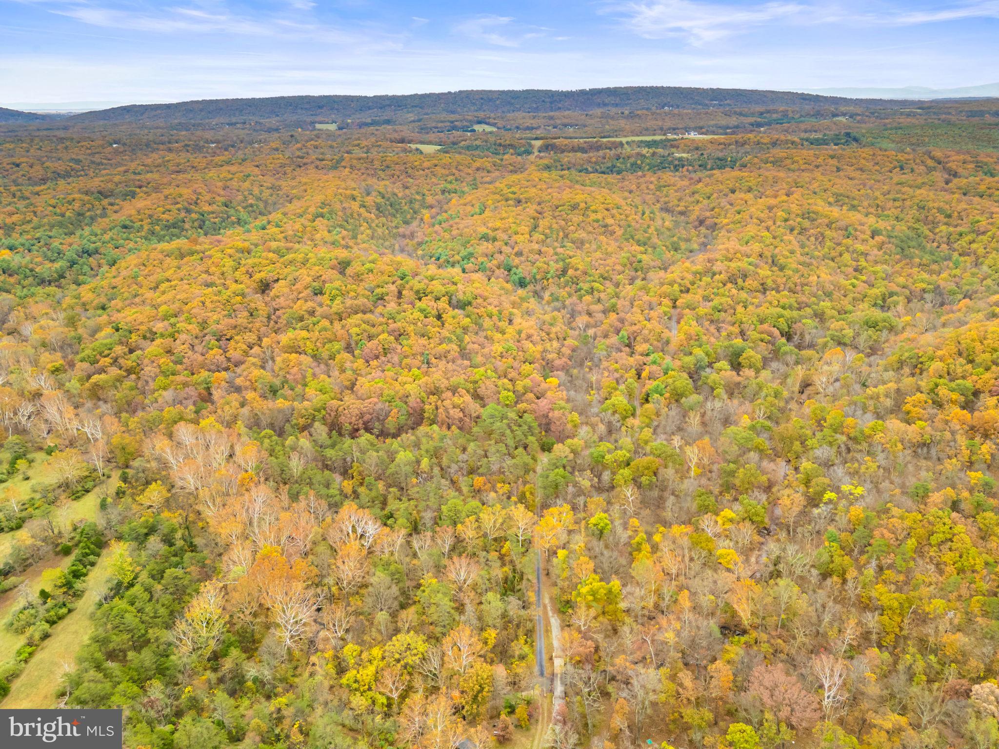 1631 Back Mountain Road Winchester, VA 22602 - Photo 82 of 86 a view of an ocean