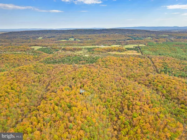 $2,125,000 | 1631 Back Mountain Road, Winchester, VA 22602