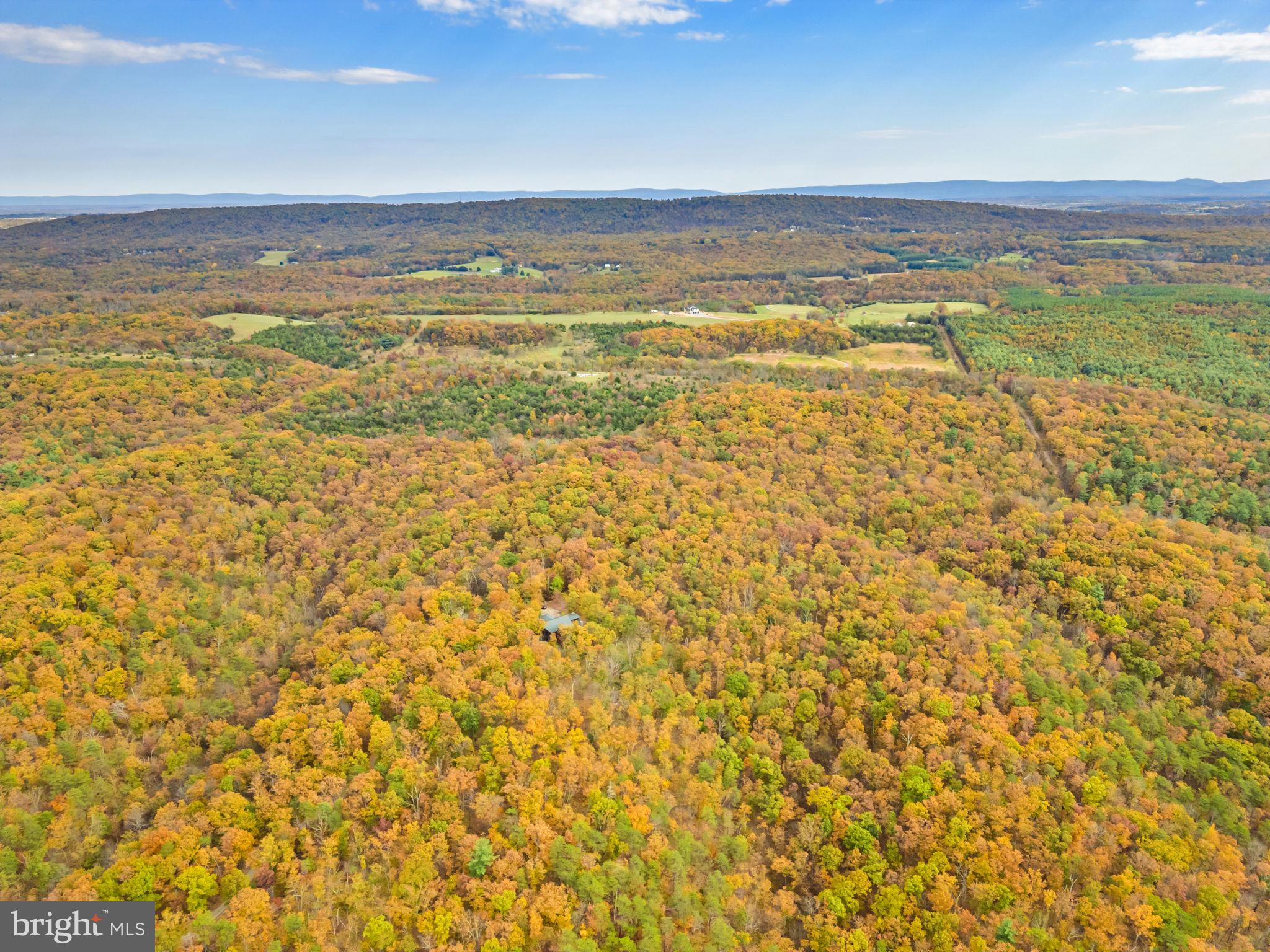 1631 Back Mountain Road Winchester, VA 22602 - Photo 84 of 86 Breathtaking views & scenery