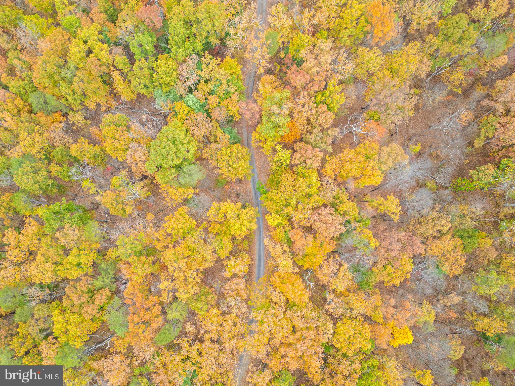 1631 Back Mountain Road Winchester, VA 22602 - Photo 85 of 86