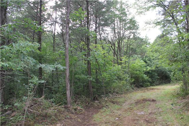 4417 North Chapel Road Franklin, TN 37067 - Photo 8 of 12