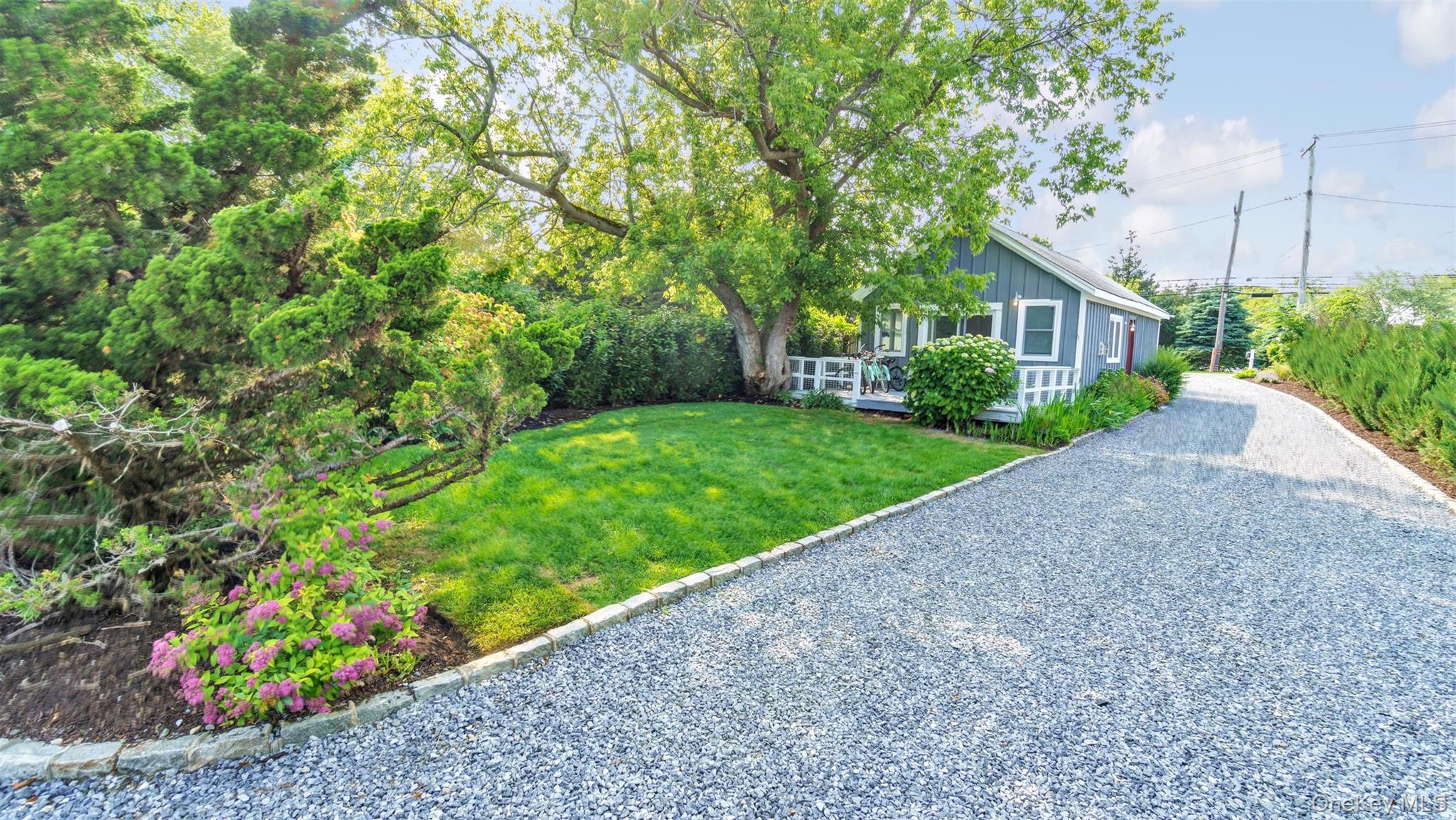 12910 Main Road East Marion, NY 11939 - Photo 25 of 41 a view of a garden with plants and large trees