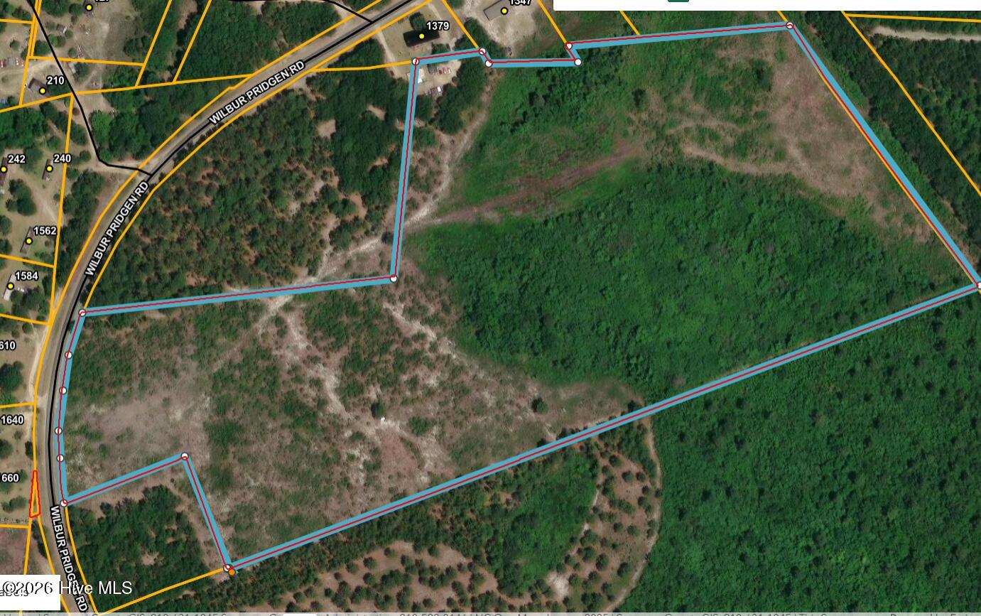 0 Wilbur Pridgen Road Harrells, NC 28444 - Photo 2 of 7 Wilbur Pridgen
