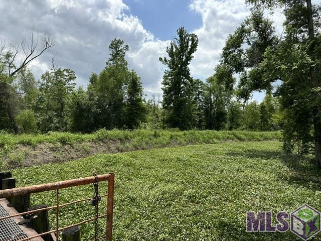 Tbd Choctaw Road Thibodaux, LA 70301 - Photo 4 of 5