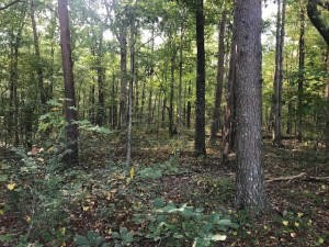 4 Boyd Road Benton, TN 37307 - Photo 4 of 7