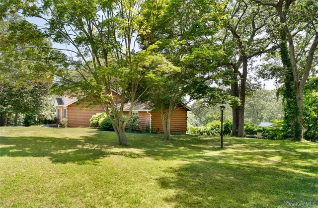 a view of a big yard with plants and large trees