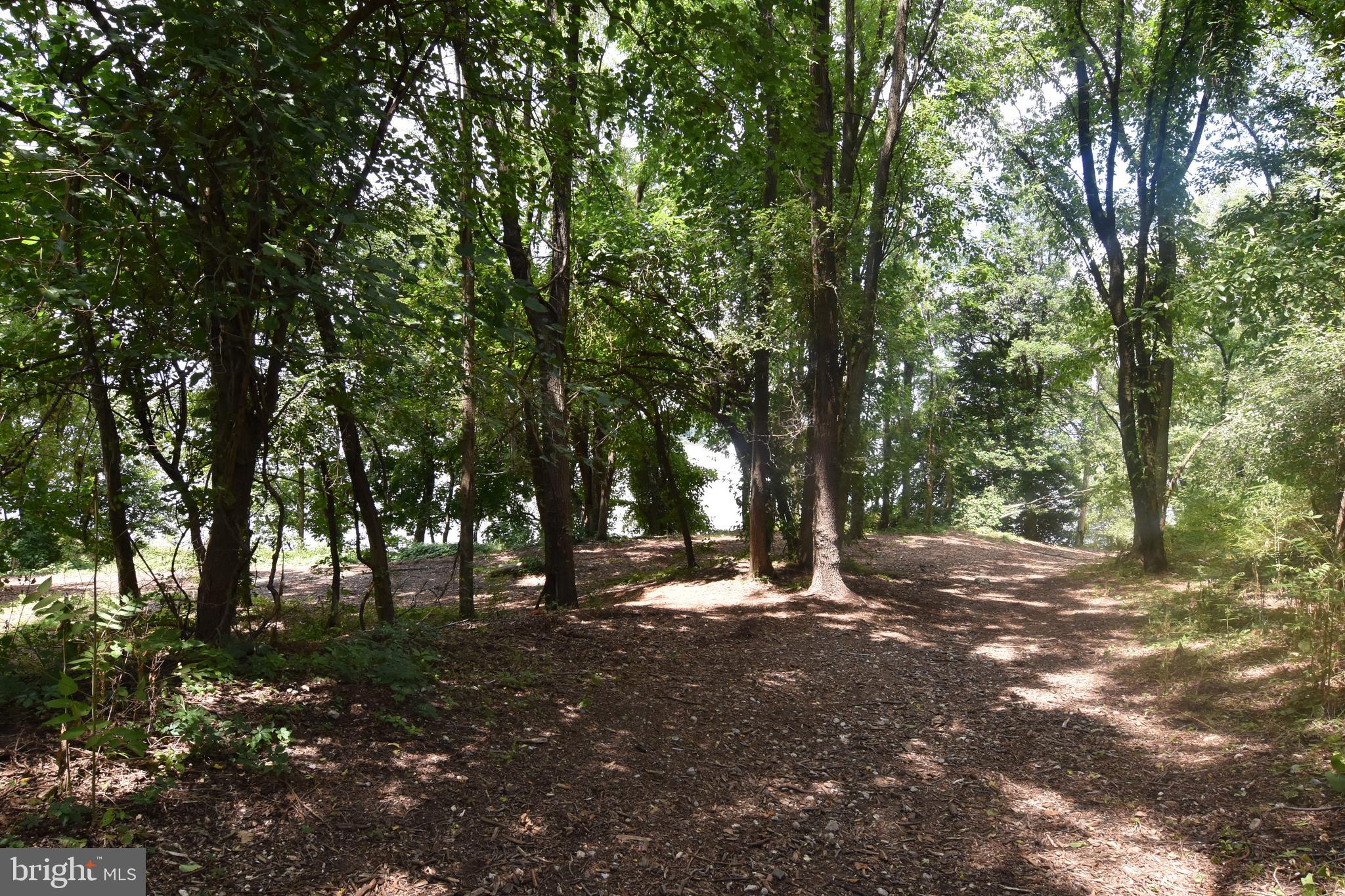 8453 Garden Road Pasadena, MD 21122 - Photo 43 of 58 community walking path