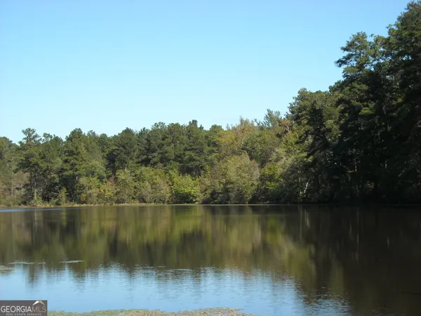 a view of a lake