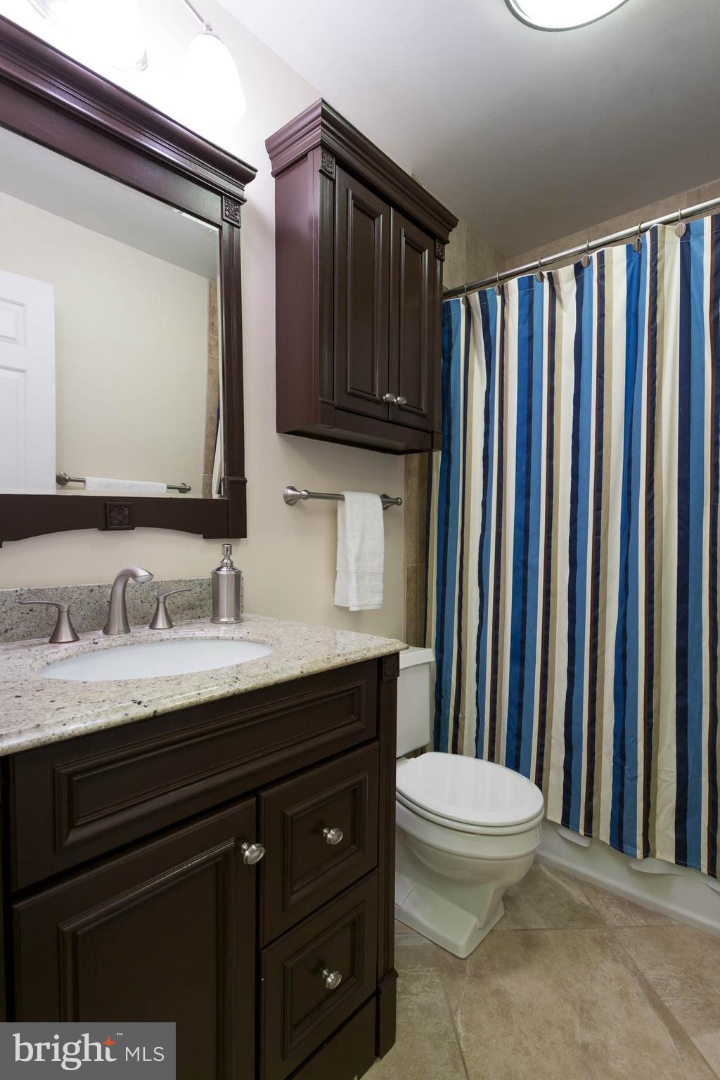10133 Red Spruce Road Fairfax, VA 22032 - Photo 14 of 25 Bedroom (Master)