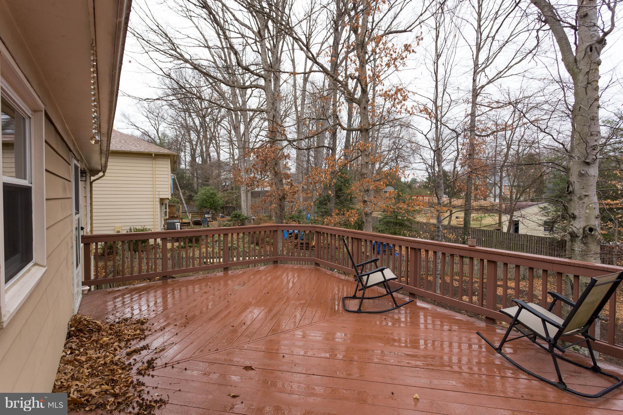 10133 Red Spruce Road Fairfax, VA 22032 - Photo 19 of 25 Exterior (Rear)