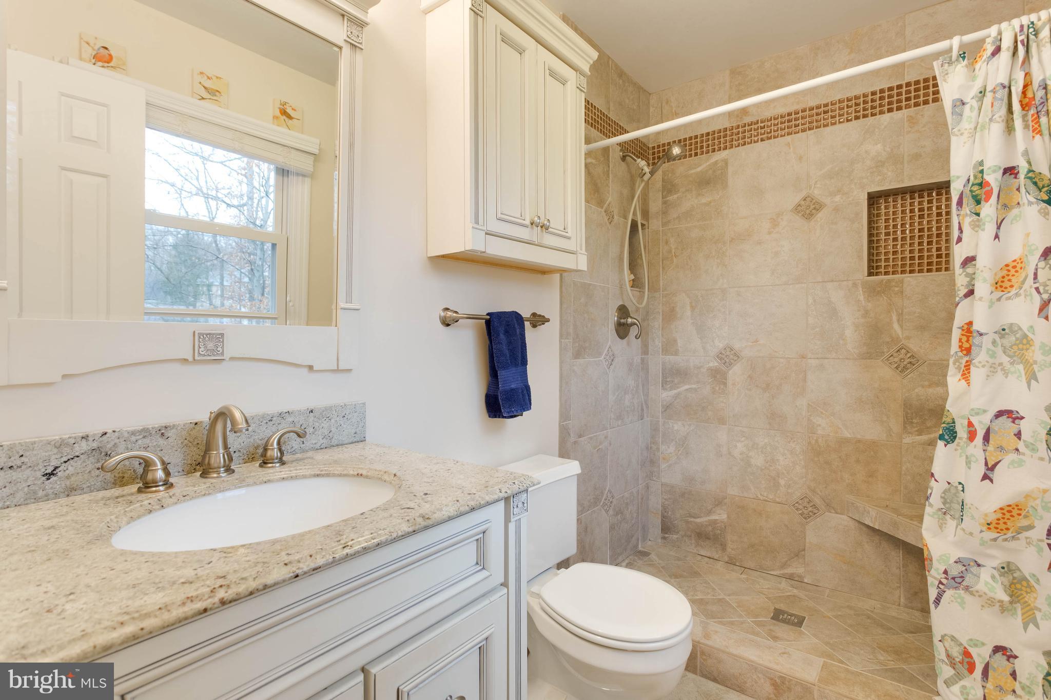 10133 Red Spruce Road Fairfax, VA 22032 - Photo 10 of 25 Bath (Master)