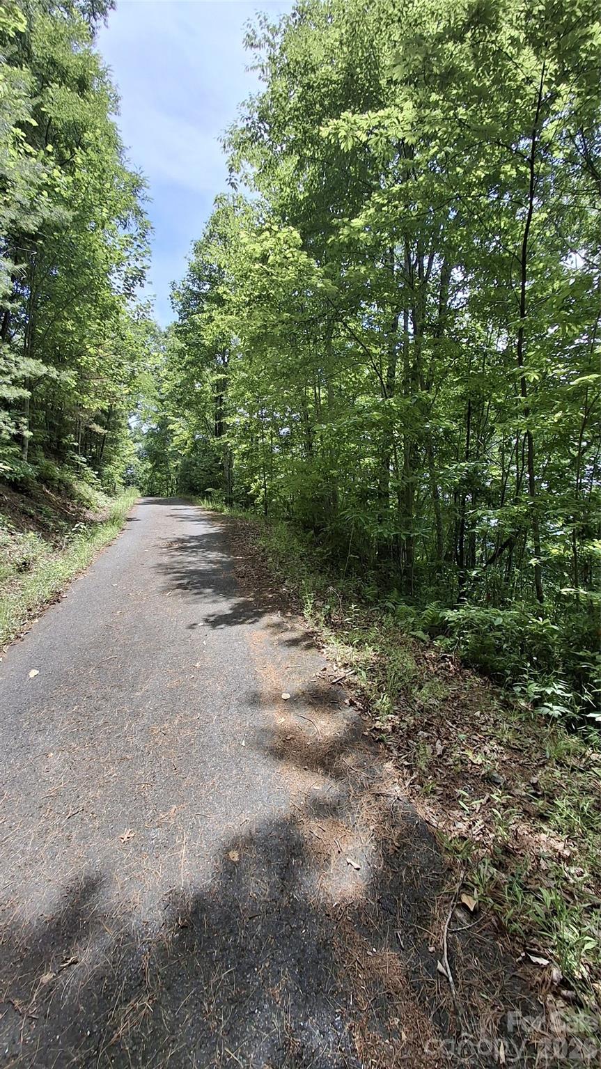 112 Kako Ridge, Unit 59 Sylva, NC 28779 - Photo 6 of 18