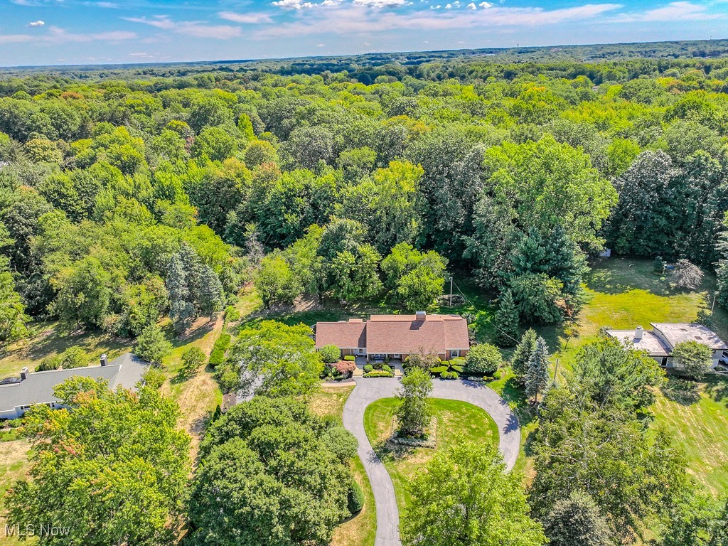 339 Barrington Ridge Road Painesville, OH 44077 - Photo 42 of 47
